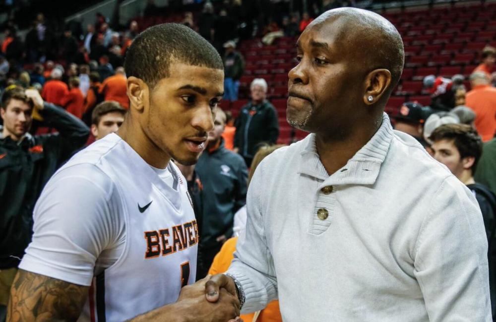 多才多艺的 多才多艺的